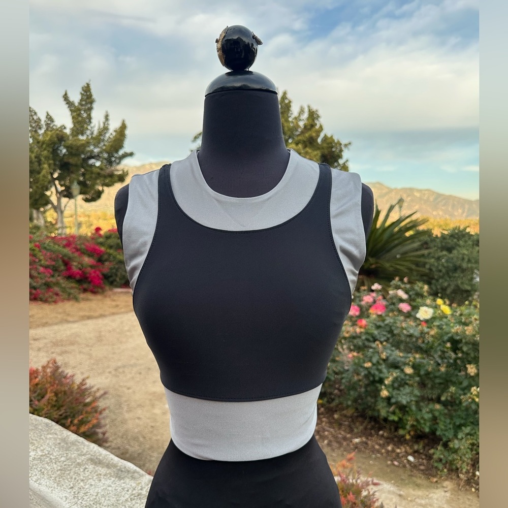 Fierce + Regal The Colorblock Crop” Top - size S
